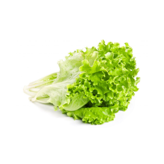 Lechuga criolla por 300gr