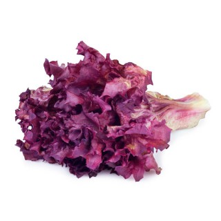 Lechuga morada por 300gr