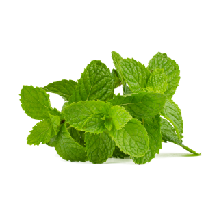 Menta por 100gr