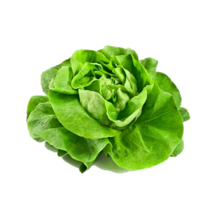 Lechuga francesa por 300gr