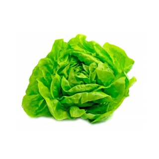 Lechuga mantecosa por 300gr